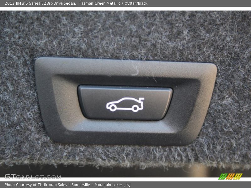 Tasman Green Metallic / Oyster/Black 2012 BMW 5 Series 528i xDrive Sedan