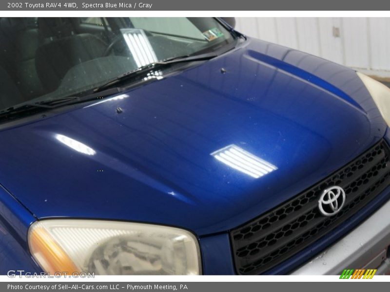 Spectra Blue Mica / Gray 2002 Toyota RAV4 4WD