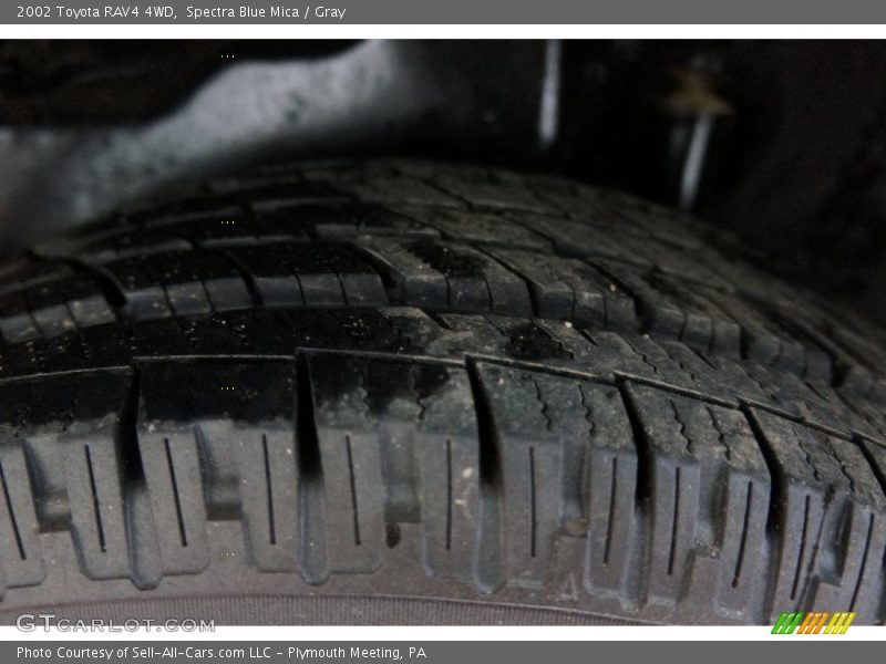 Spectra Blue Mica / Gray 2002 Toyota RAV4 4WD