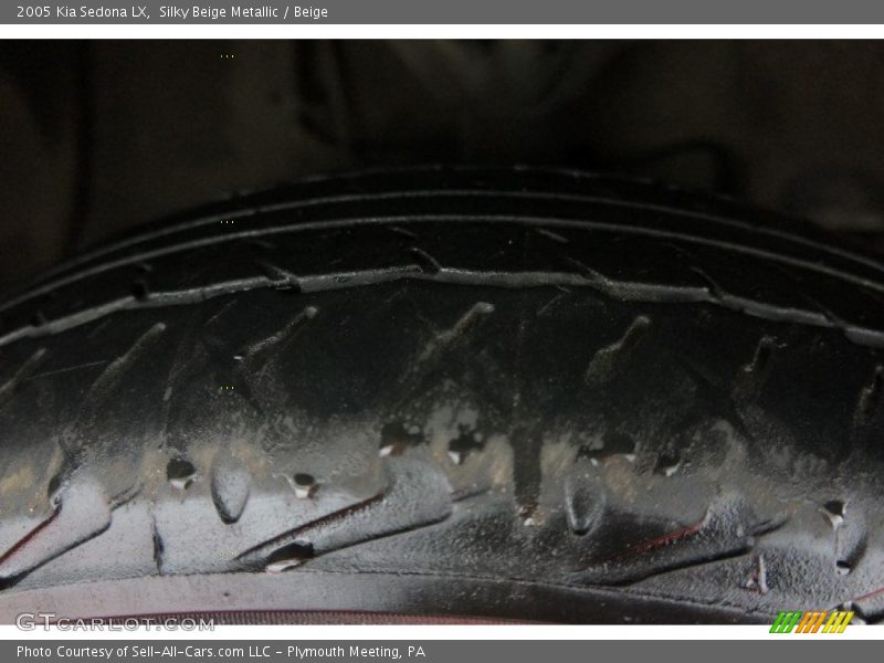 Silky Beige Metallic / Beige 2005 Kia Sedona LX