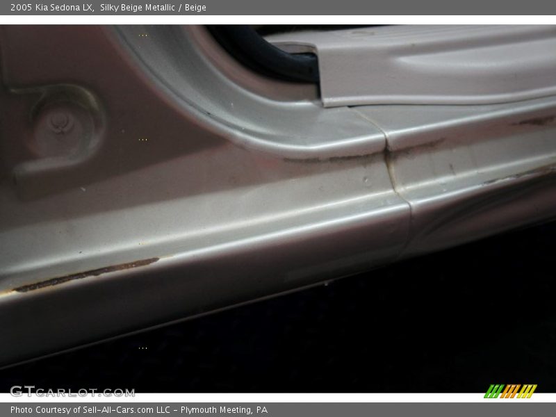 Silky Beige Metallic / Beige 2005 Kia Sedona LX