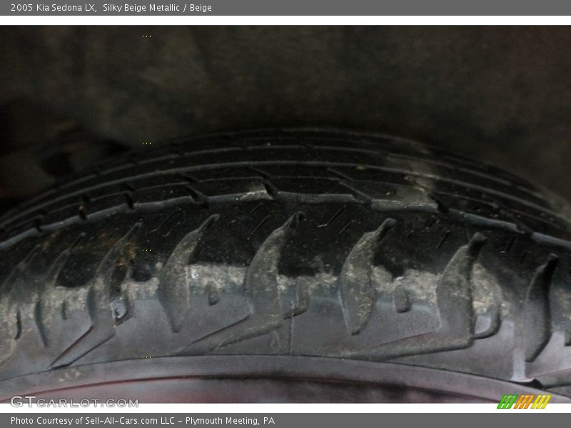 Silky Beige Metallic / Beige 2005 Kia Sedona LX