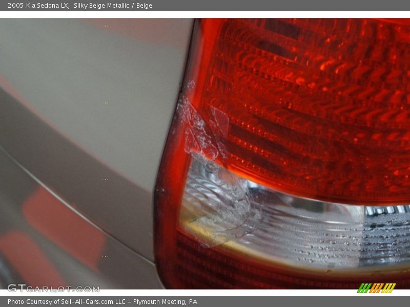 Silky Beige Metallic / Beige 2005 Kia Sedona LX
