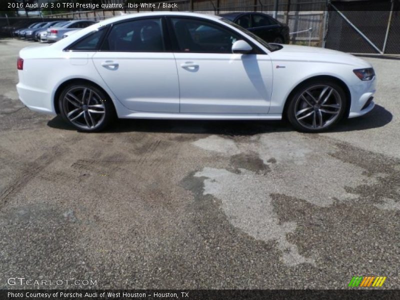 Ibis White / Black 2016 Audi A6 3.0 TFSI Prestige quattro