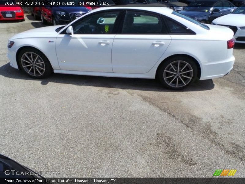 Ibis White / Black 2016 Audi A6 3.0 TFSI Prestige quattro