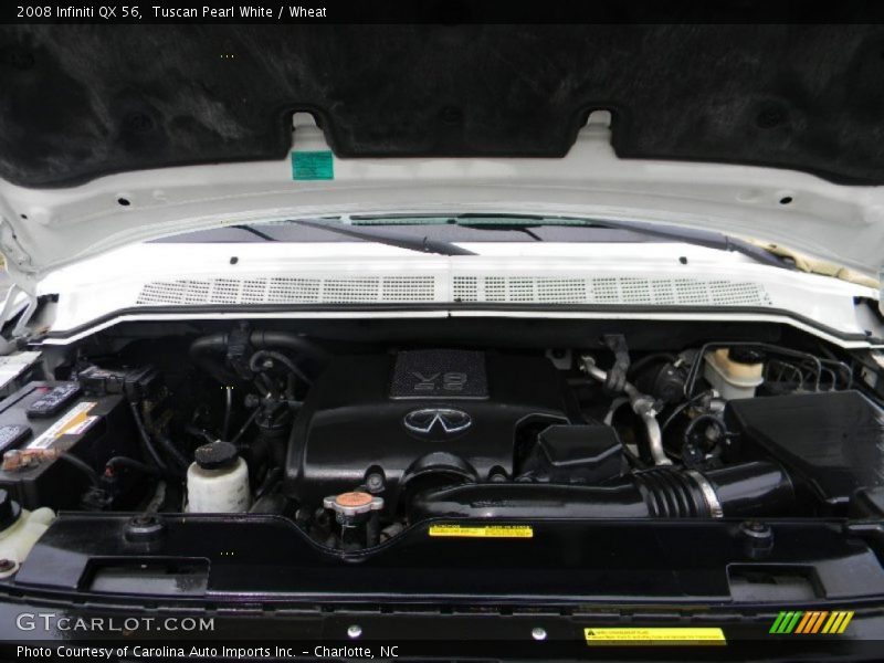Tuscan Pearl White / Wheat 2008 Infiniti QX 56