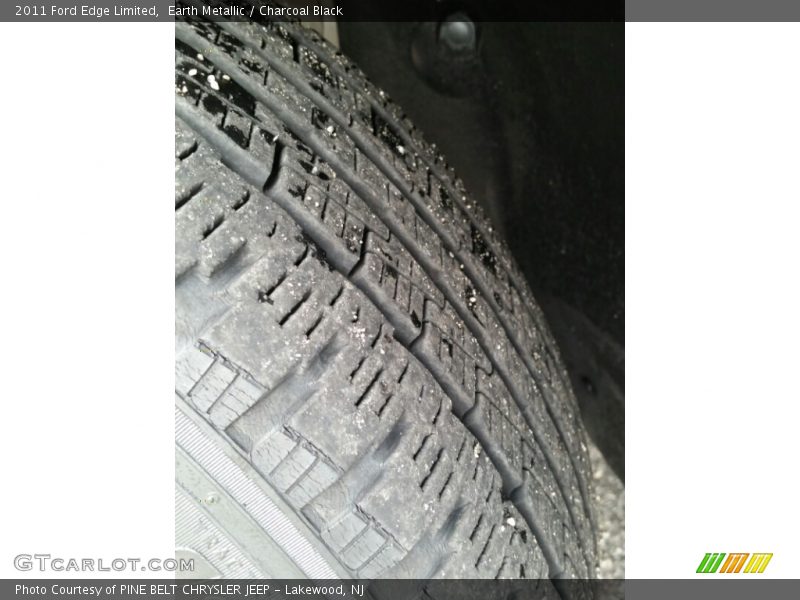 Earth Metallic / Charcoal Black 2011 Ford Edge Limited