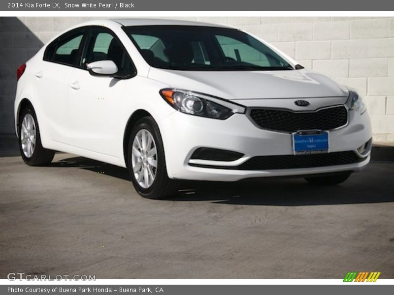 Snow White Pearl / Black 2014 Kia Forte LX