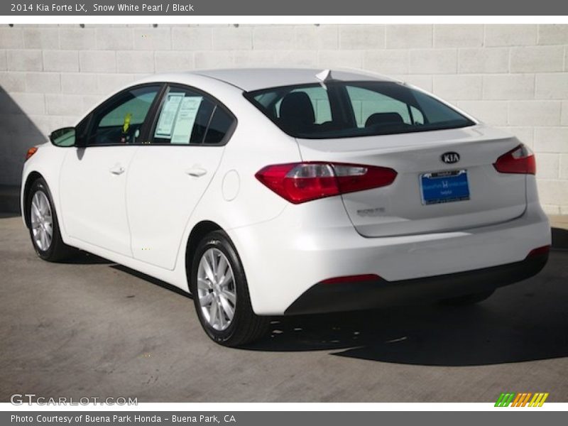 Snow White Pearl / Black 2014 Kia Forte LX