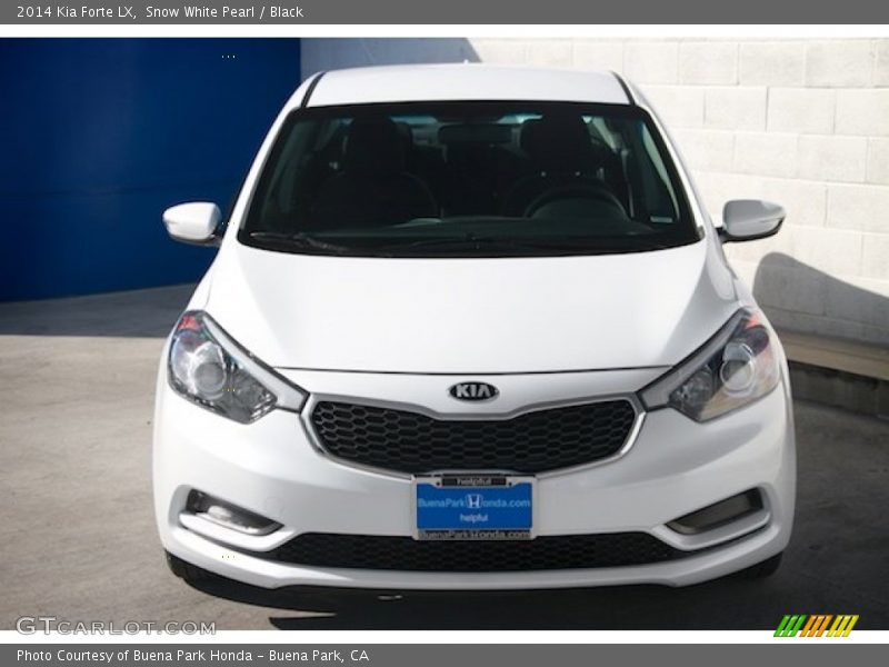 Snow White Pearl / Black 2014 Kia Forte LX
