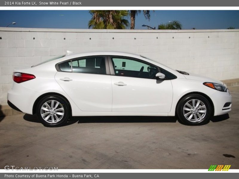 Snow White Pearl / Black 2014 Kia Forte LX