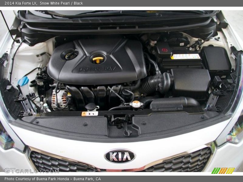 Snow White Pearl / Black 2014 Kia Forte LX