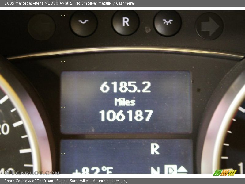 Iridium Silver Metallic / Cashmere 2009 Mercedes-Benz ML 350 4Matic