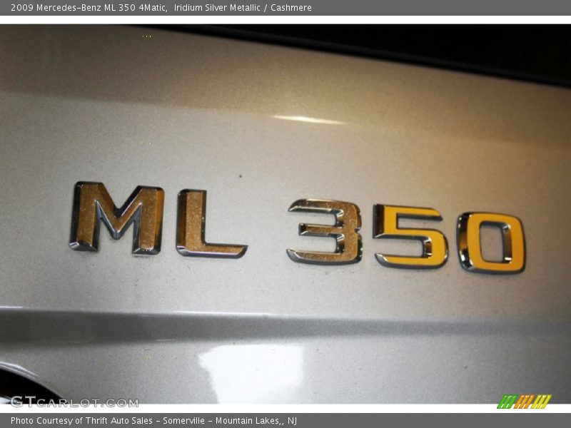 Iridium Silver Metallic / Cashmere 2009 Mercedes-Benz ML 350 4Matic