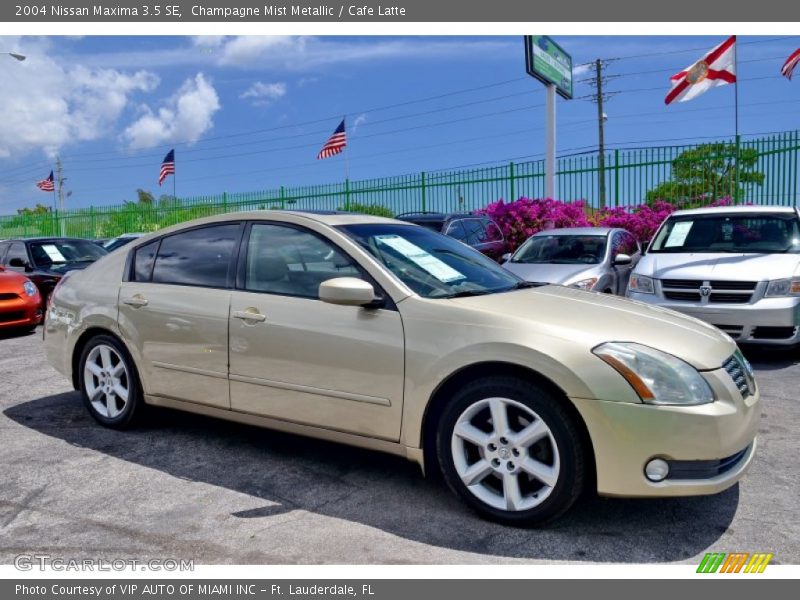 Champagne Mist Metallic / Cafe Latte 2004 Nissan Maxima 3.5 SE