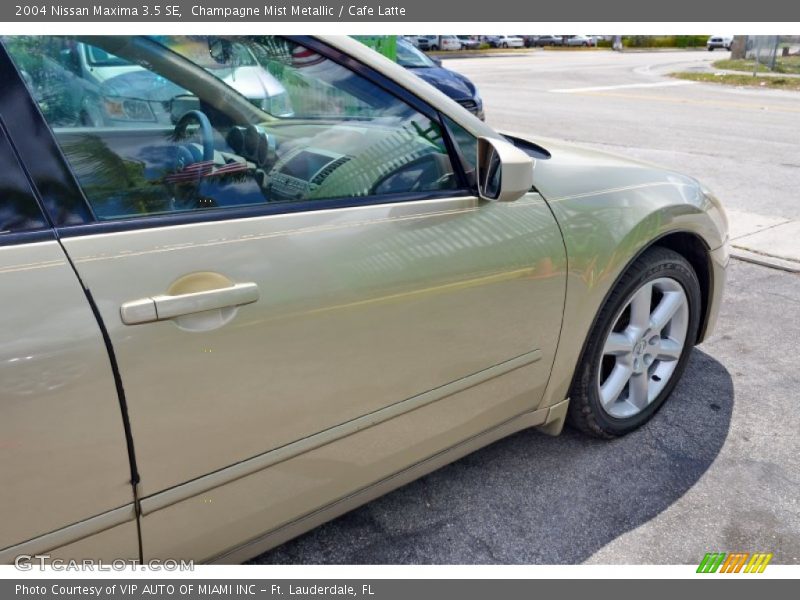 Champagne Mist Metallic / Cafe Latte 2004 Nissan Maxima 3.5 SE