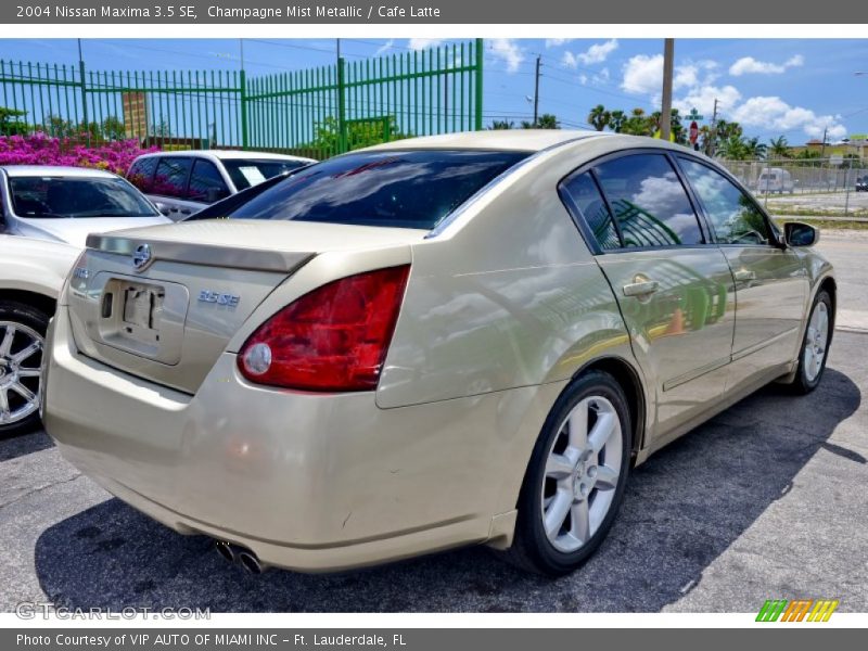 Champagne Mist Metallic / Cafe Latte 2004 Nissan Maxima 3.5 SE