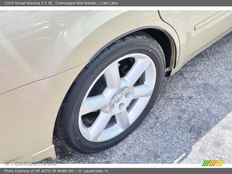 Champagne Mist Metallic / Cafe Latte 2004 Nissan Maxima 3.5 SE