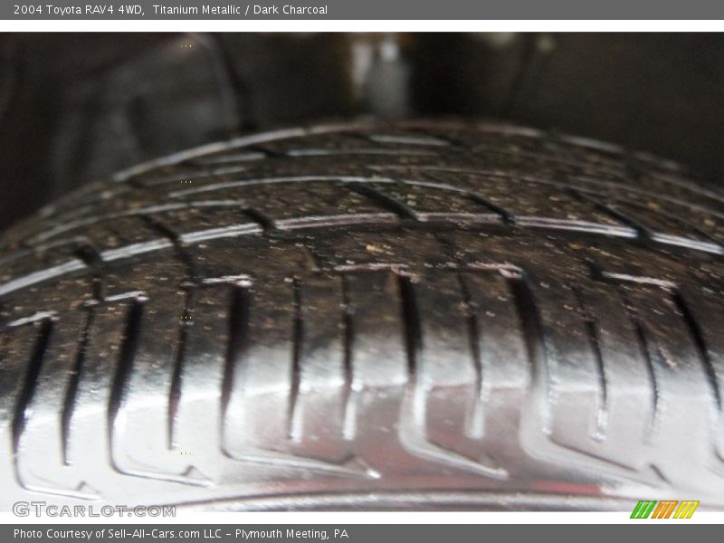 Titanium Metallic / Dark Charcoal 2004 Toyota RAV4 4WD