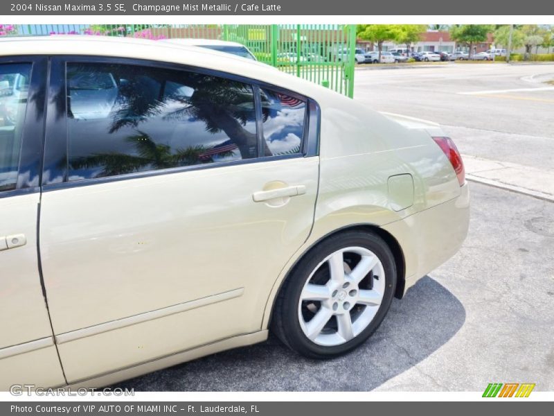 Champagne Mist Metallic / Cafe Latte 2004 Nissan Maxima 3.5 SE