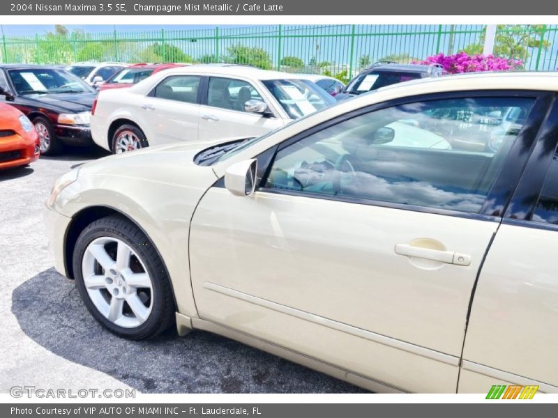 Champagne Mist Metallic / Cafe Latte 2004 Nissan Maxima 3.5 SE