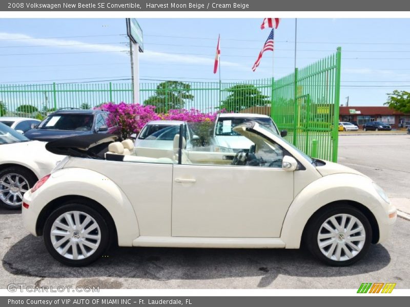Harvest Moon Beige / Cream Beige 2008 Volkswagen New Beetle SE Convertible