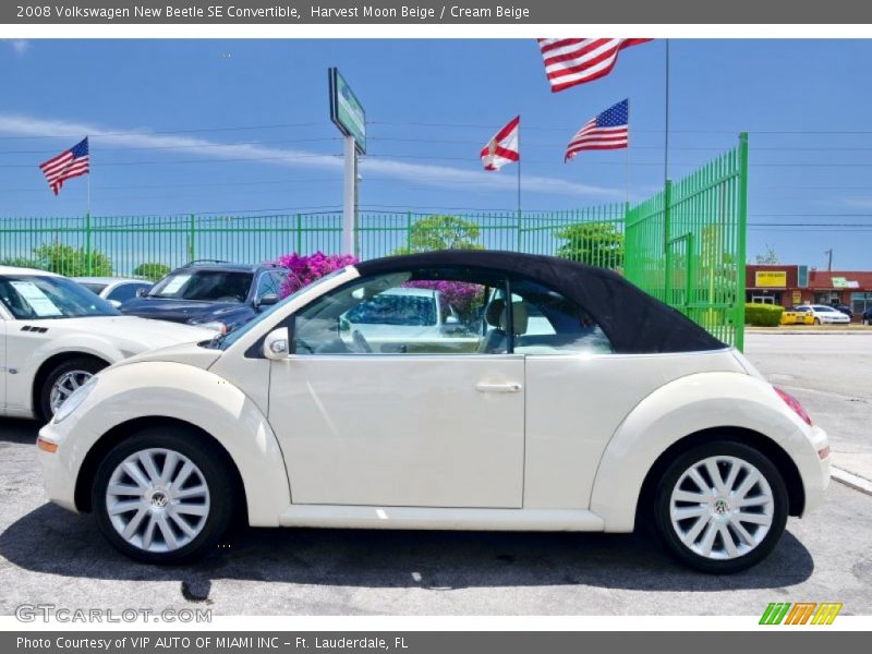 Harvest Moon Beige / Cream Beige 2008 Volkswagen New Beetle SE Convertible