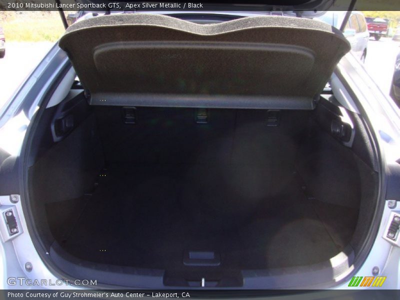 Apex Silver Metallic / Black 2010 Mitsubishi Lancer Sportback GTS