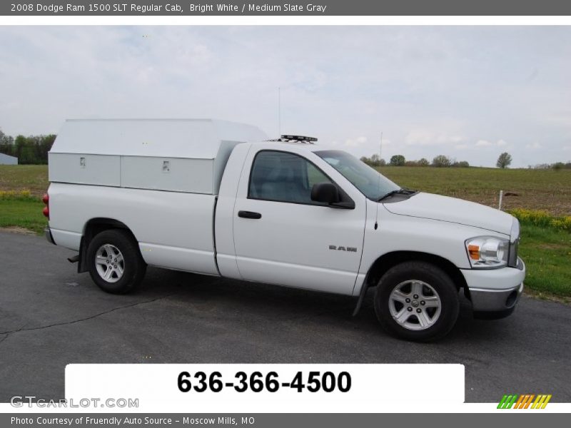 Bright White / Medium Slate Gray 2008 Dodge Ram 1500 SLT Regular Cab
