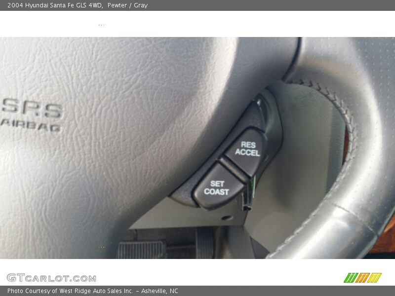 Pewter / Gray 2004 Hyundai Santa Fe GLS 4WD