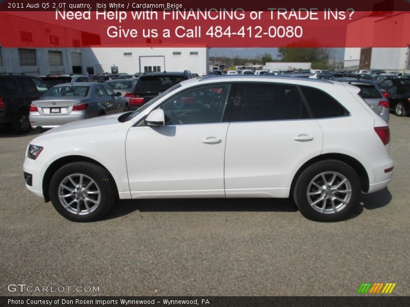 Ibis White / Cardamom Beige 2011 Audi Q5 2.0T quattro