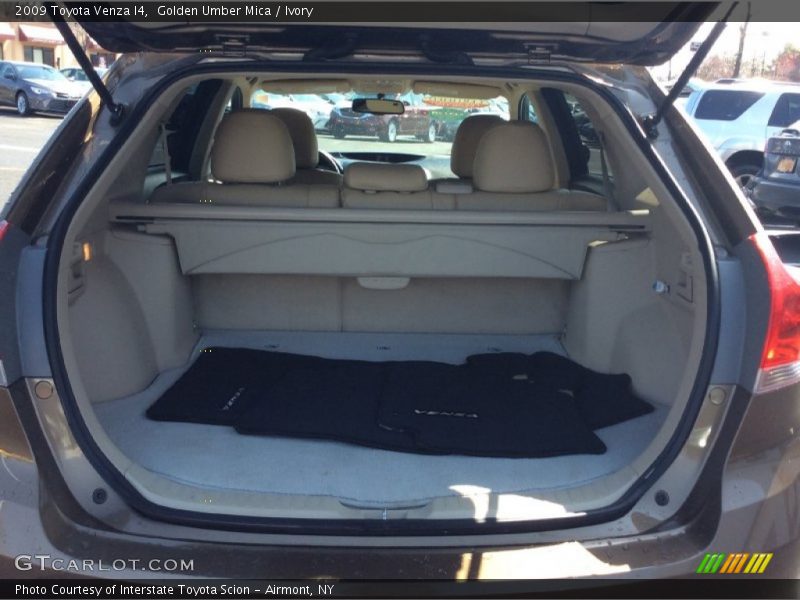 Golden Umber Mica / Ivory 2009 Toyota Venza I4