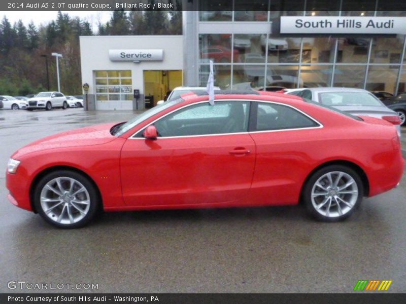 Brilliant Red / Black 2014 Audi A5 2.0T quattro Coupe