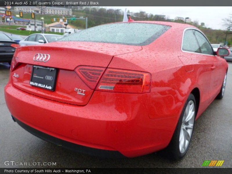 Brilliant Red / Black 2014 Audi A5 2.0T quattro Coupe