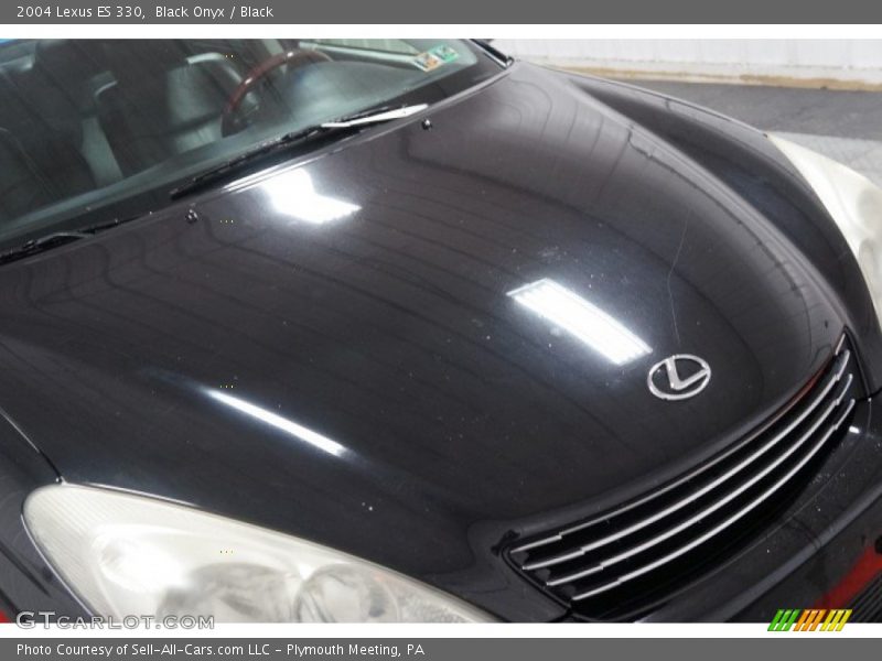Black Onyx / Black 2004 Lexus ES 330