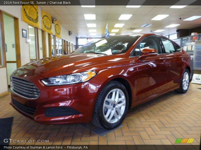 Sunset / Charcoal Black 2014 Ford Fusion SE