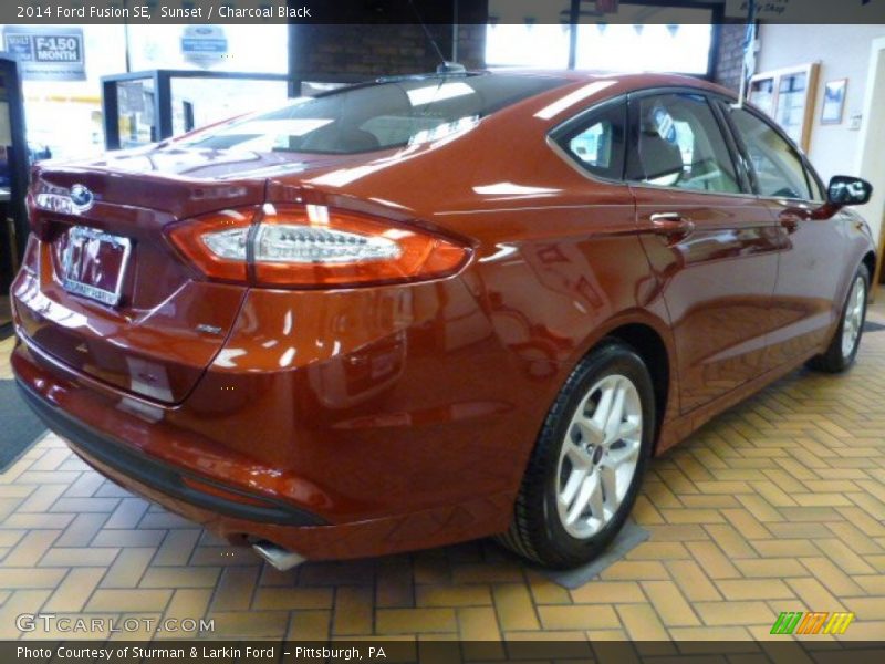 Sunset / Charcoal Black 2014 Ford Fusion SE