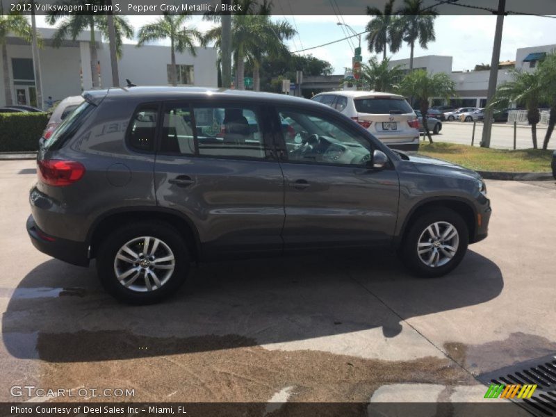 Pepper Gray Metallic / Black 2012 Volkswagen Tiguan S