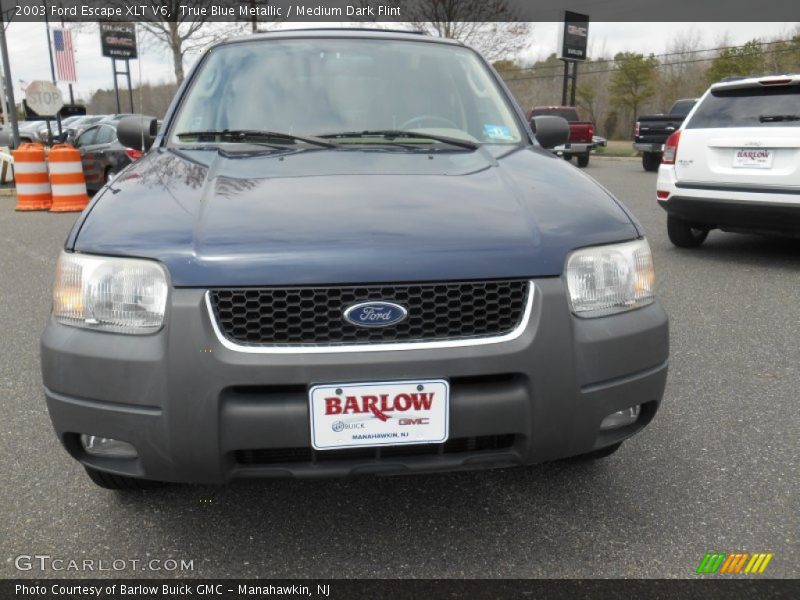 True Blue Metallic / Medium Dark Flint 2003 Ford Escape XLT V6