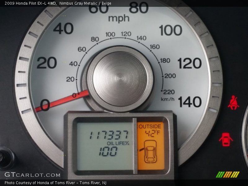 Nimbus Gray Metallic / Beige 2009 Honda Pilot EX-L 4WD