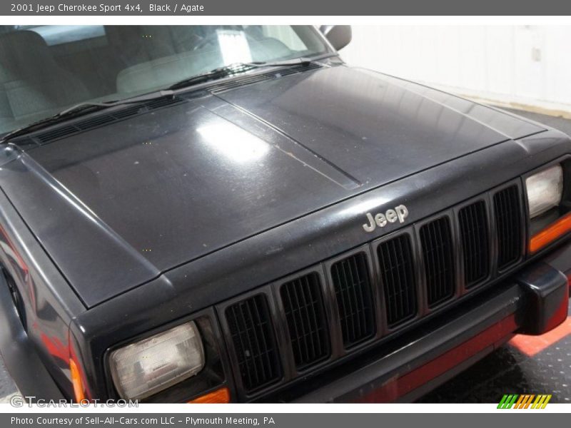 Black / Agate 2001 Jeep Cherokee Sport 4x4