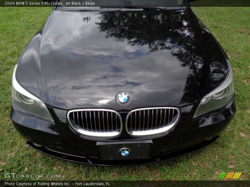 Jet Black / Beige 2004 BMW 5 Series 545i Sedan