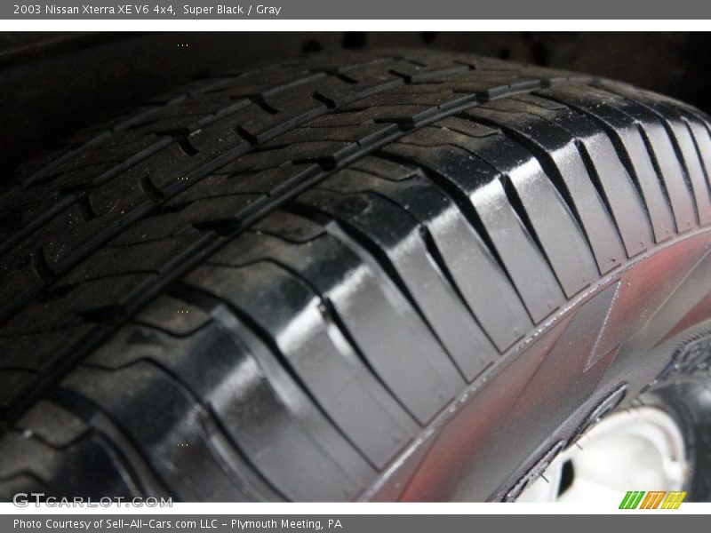 Super Black / Gray 2003 Nissan Xterra XE V6 4x4