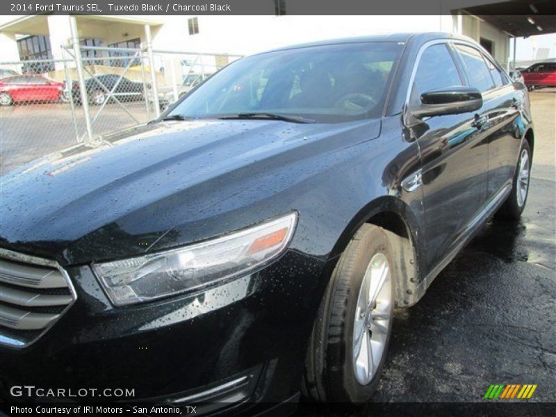 Tuxedo Black / Charcoal Black 2014 Ford Taurus SEL