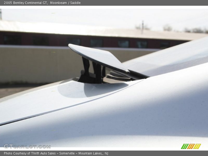Moonbeam / Saddle 2005 Bentley Continental GT