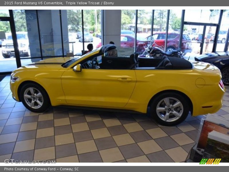 Triple Yellow Tricoat / Ebony 2015 Ford Mustang V6 Convertible