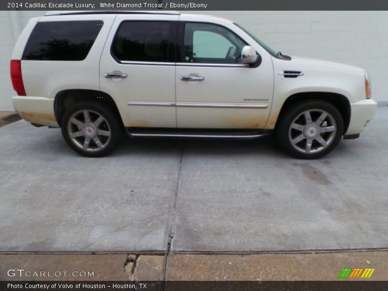 White Diamond Tricoat / Ebony/Ebony 2014 Cadillac Escalade Luxury