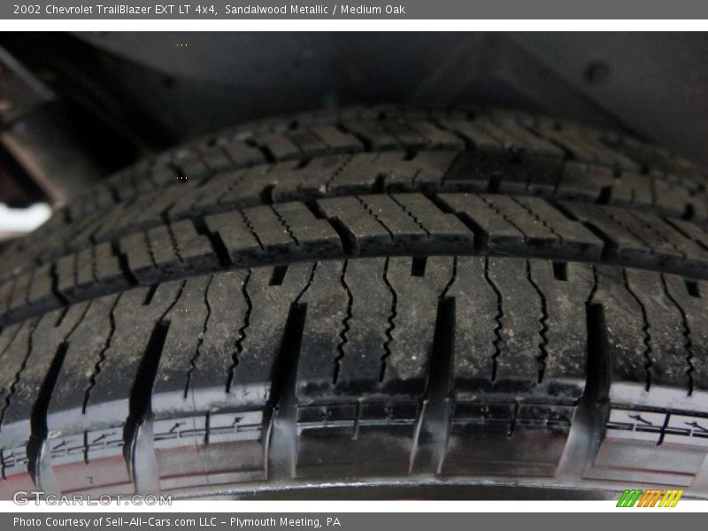 Sandalwood Metallic / Medium Oak 2002 Chevrolet TrailBlazer EXT LT 4x4