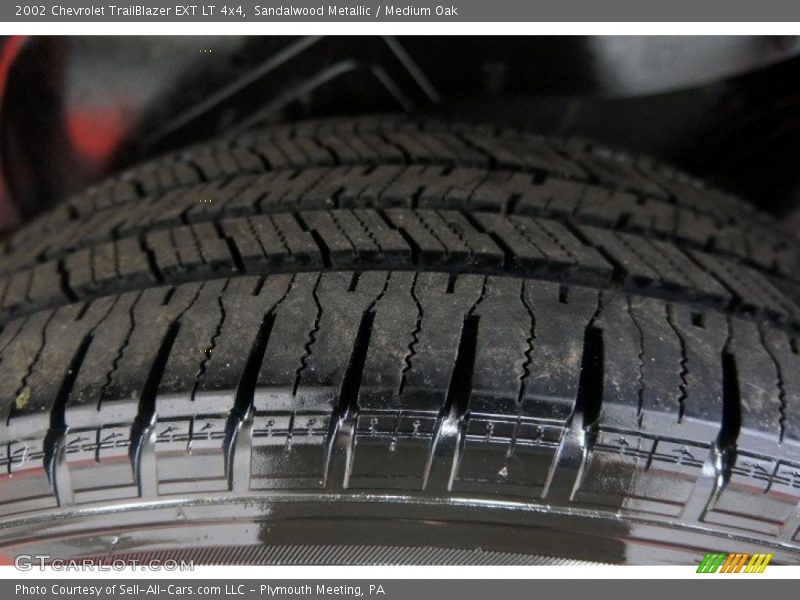 Sandalwood Metallic / Medium Oak 2002 Chevrolet TrailBlazer EXT LT 4x4