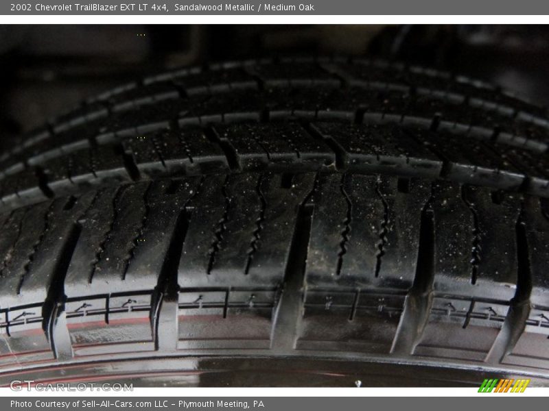 Sandalwood Metallic / Medium Oak 2002 Chevrolet TrailBlazer EXT LT 4x4